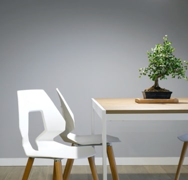 room with table and bonsai tree standing on it with luxury white chair